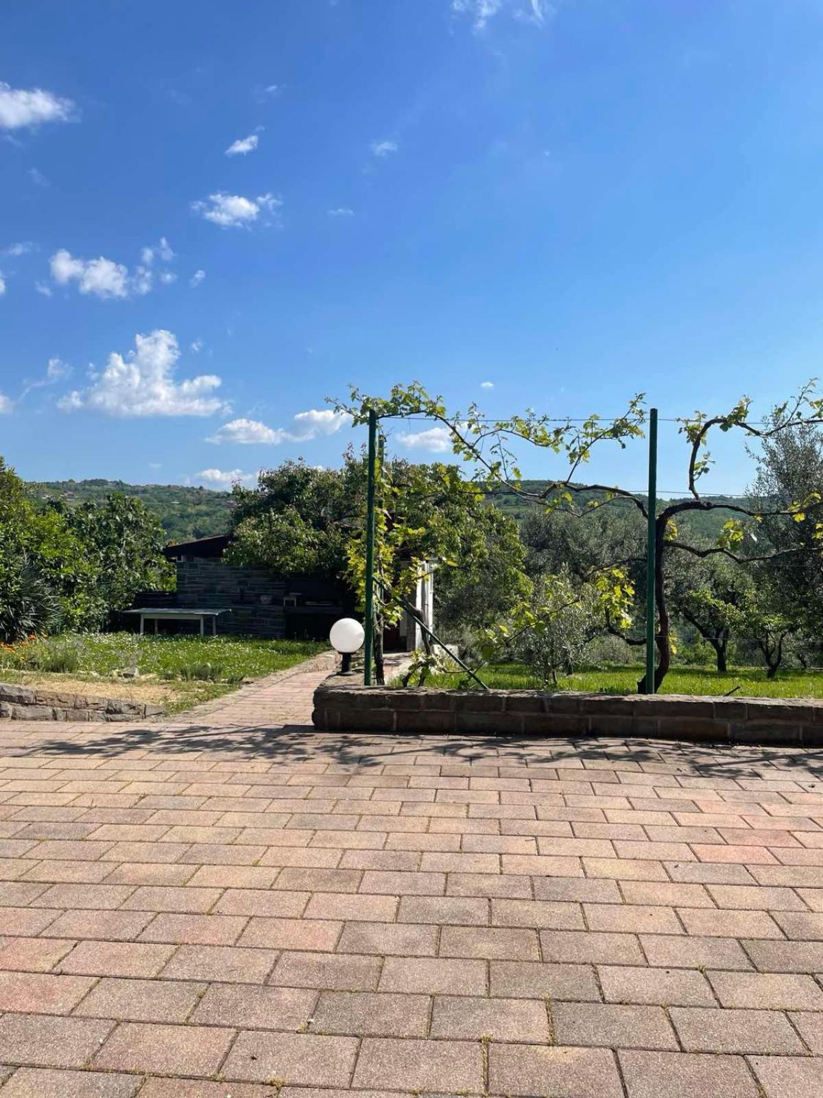 Olea Mar Apartma Pobegi Kültér fotó